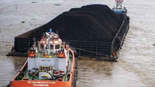 distributor batu bara